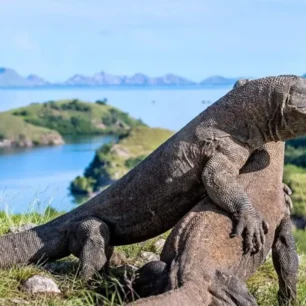 Labuan Bajo